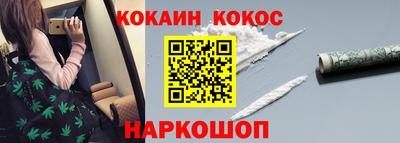 спайс Кингисепп