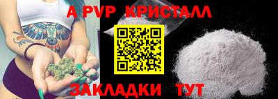 спайс Кингисепп