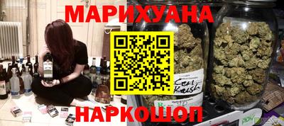 спайс Кингисепп