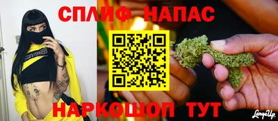 спайс Кингисепп