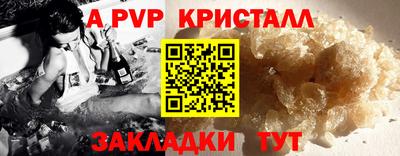 спайс Кингисепп