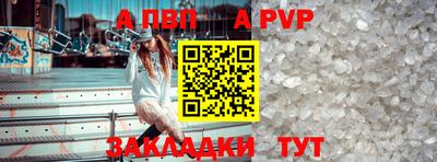 спайс Кингисепп