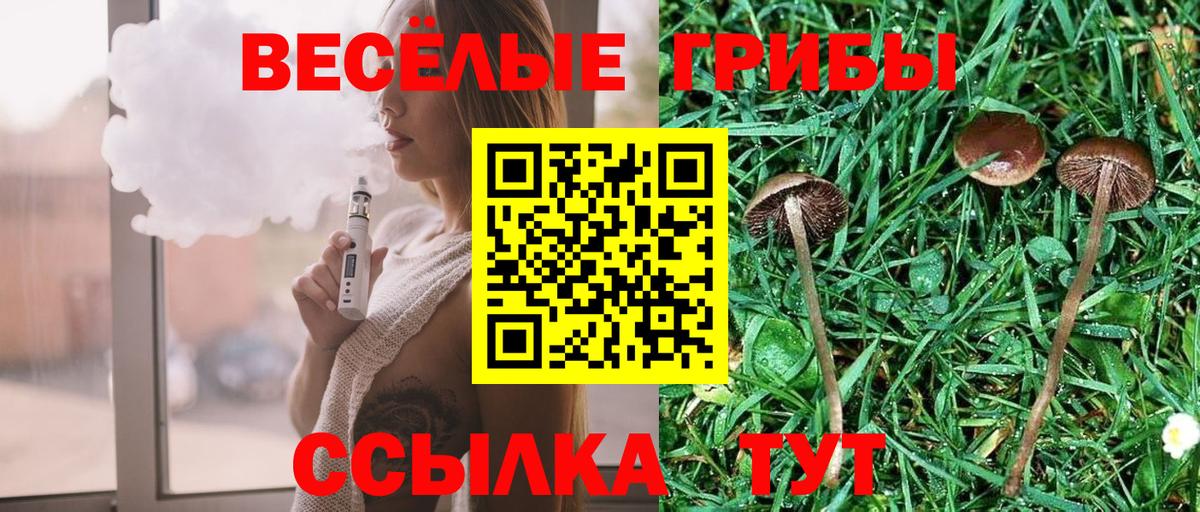 Псилоцибиновые грибы GOLDEN TEACHER Кольчугино