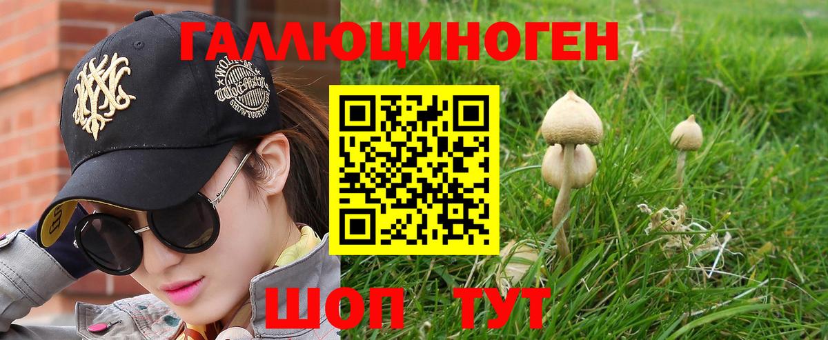 Галлюциногенные грибы Psilocybe  Вход с VPN  Кольчугино 